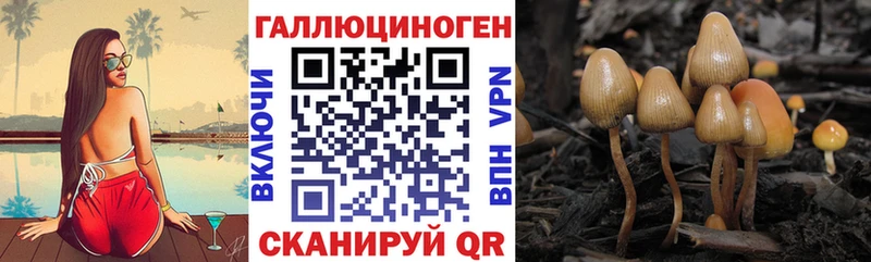 Псилоцибиновые грибы MAGIC MUSHROOMS  Магас 